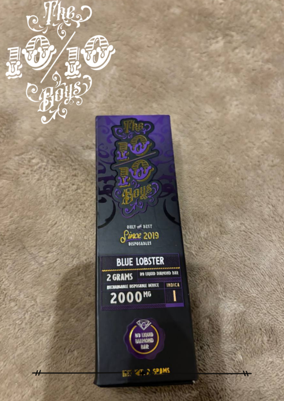 1010boys 2g Blue Lobster