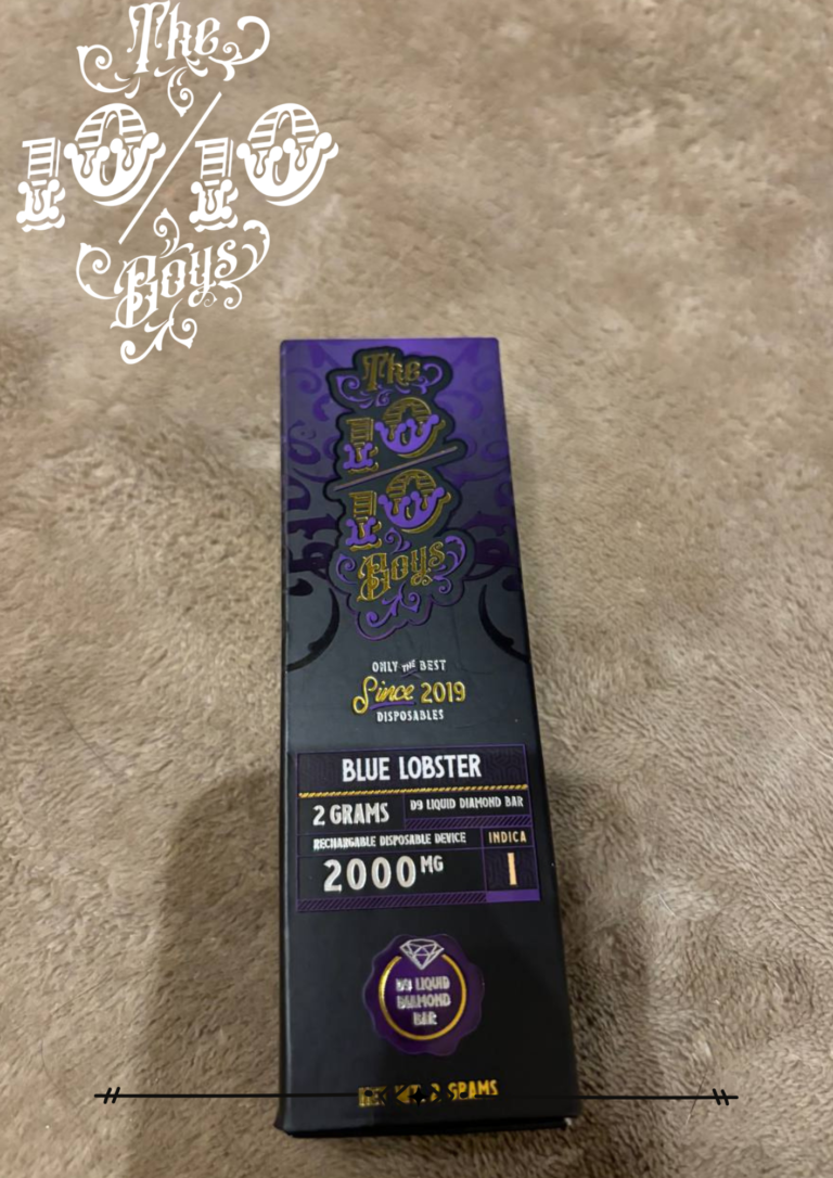 1010boys 2g Blue Lobster